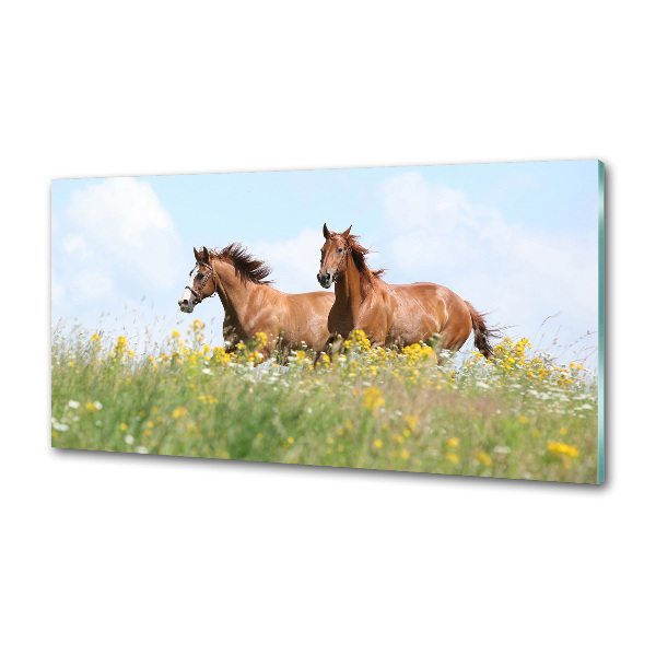 Rivestimento parete cucina con decorazione raffigurante due cavalli al galoppo