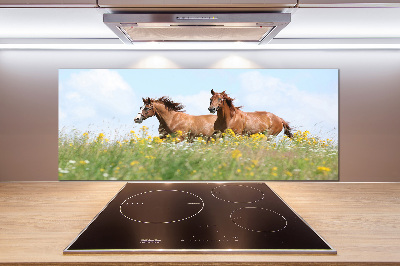 Rivestimento parete cucina con decorazione raffigurante due cavalli al galoppo