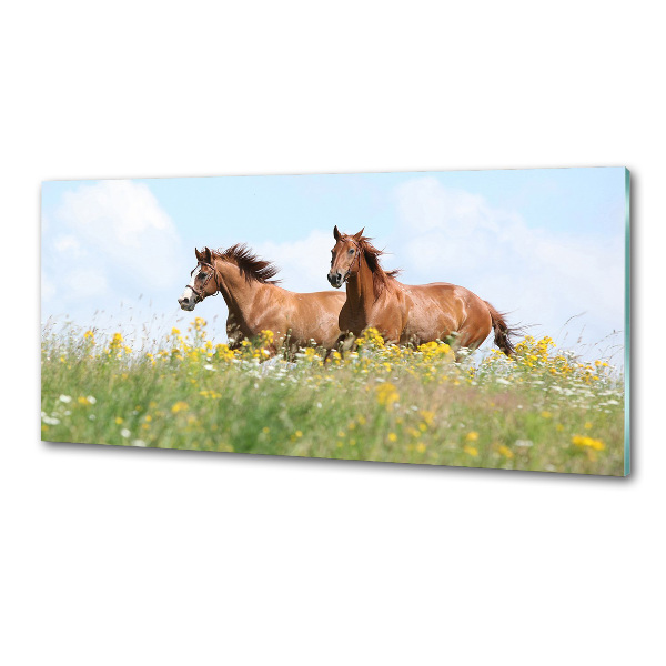 Rivestimento parete cucina con decorazione raffigurante due cavalli al galoppo