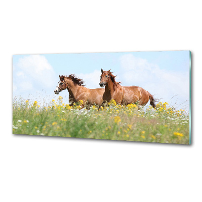 Rivestimento parete cucina con decorazione raffigurante due cavalli al galoppo