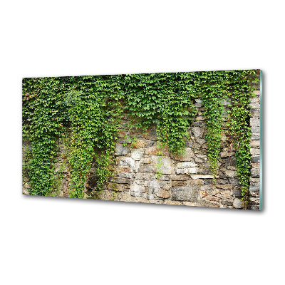 Pannello retrocucina con motivo edera verde