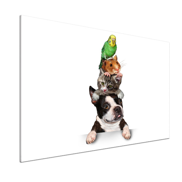 Pannello paraschizzi cucina con motivo raffigurante un gruppo di animali