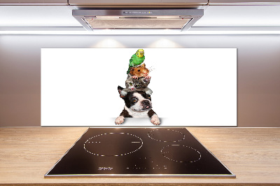 Pannello paraschizzi cucina con motivo raffigurante un gruppo di animali