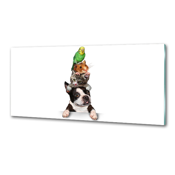 Pannello paraschizzi cucina con motivo raffigurante un gruppo di animali