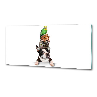 Pannello paraschizzi cucina con motivo raffigurante un gruppo di animali