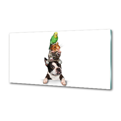 Pannello paraschizzi cucina con motivo raffigurante un gruppo di animali