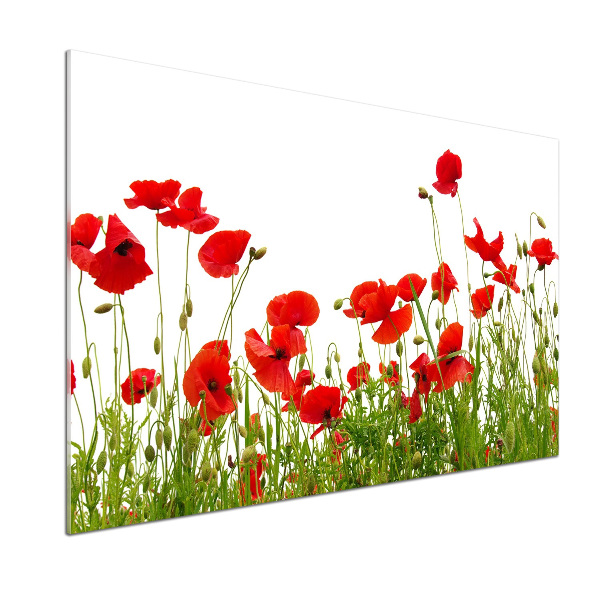 Pannello paraschizzi cucina con motivo di papaveri