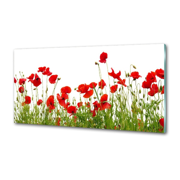 Pannello paraschizzi cucina con motivo di papaveri