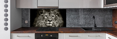 Rivestimento parete cucina con motivo Leone