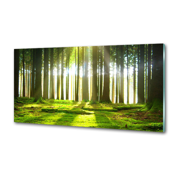 Rivestimento parete cucina con motivo 'Foresta al sole' per interni