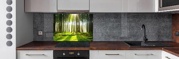 Rivestimento parete cucina con motivo 'Foresta al sole' per interni