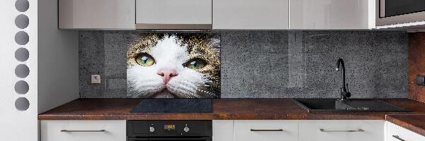 Pannello paraschizzi cucina con motivi di occhi di gatto verdi