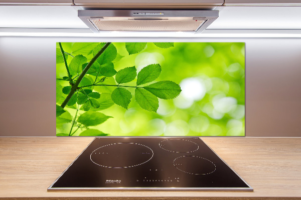 Rivestimento parete cucina con motivo di foglie verdi