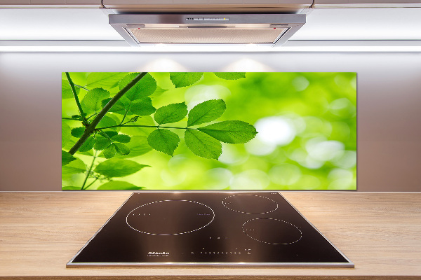 Rivestimento parete cucina con motivo di foglie verdi
