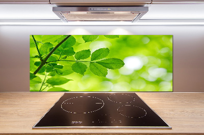 Rivestimento parete cucina con motivo di foglie verdi