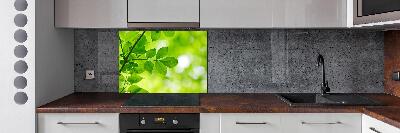 Rivestimento parete cucina con motivo di foglie verdi