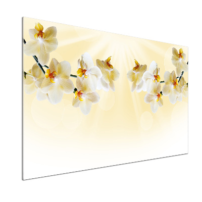 Pannello paraschizzi cucina con motivo orchidea