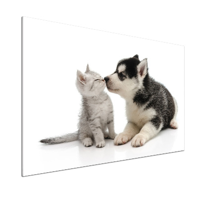 Rivestimento parete cucina con motivo di cane e gatto