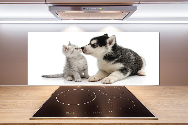 Rivestimento parete cucina con motivo di cane e gatto