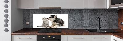 Rivestimento parete cucina con motivo di cane e gatto