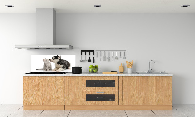 Rivestimento parete cucina con motivo di cane e gatto