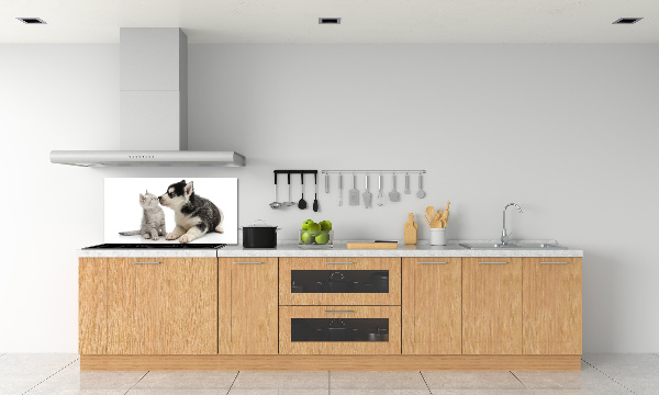 Rivestimento parete cucina con motivo di cane e gatto