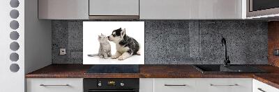 Rivestimento parete cucina con motivo di cane e gatto