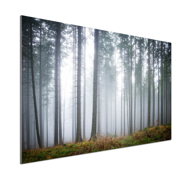 Pannello retrocucina con motivo Nebbia nella foresta