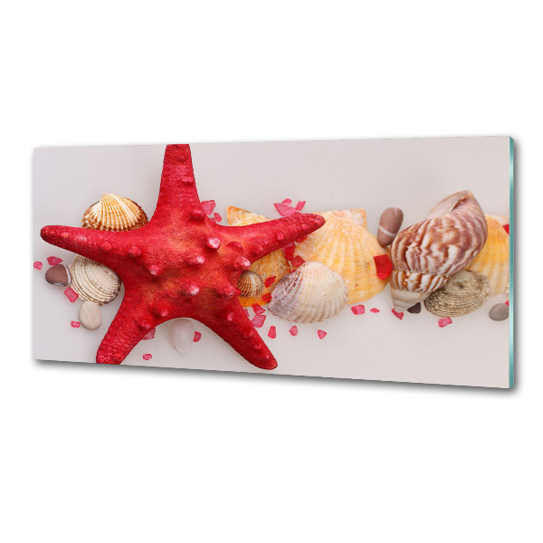 Pannello paraschizzi cucina con motivo di stelle marine e conchiglie