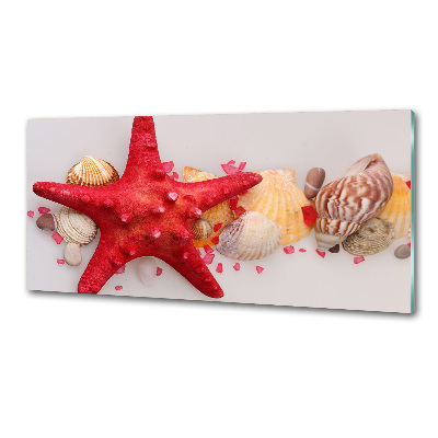 Pannello paraschizzi cucina con motivo di stelle marine e conchiglie