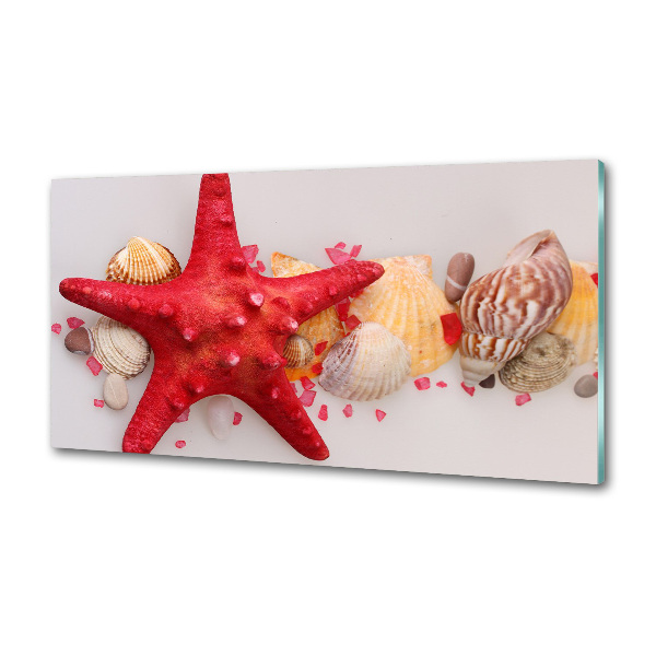 Pannello paraschizzi cucina con motivo di stelle marine e conchiglie