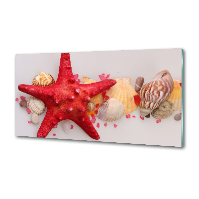 Pannello paraschizzi cucina con motivo di stelle marine e conchiglie