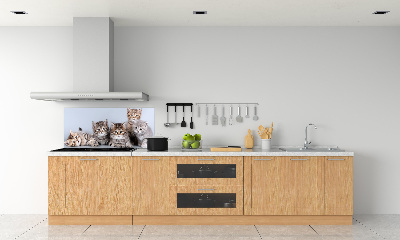 Rivestimento parete cucina con motivo Cinque gatti