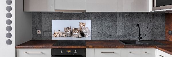 Rivestimento parete cucina con motivo Cinque gatti