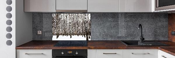 Pannello retrocucina con decorazione Betulle in inverno