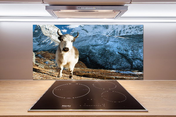 Pannello retrocucina con stampa 