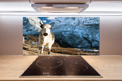 Pannello retrocucina con stampa 