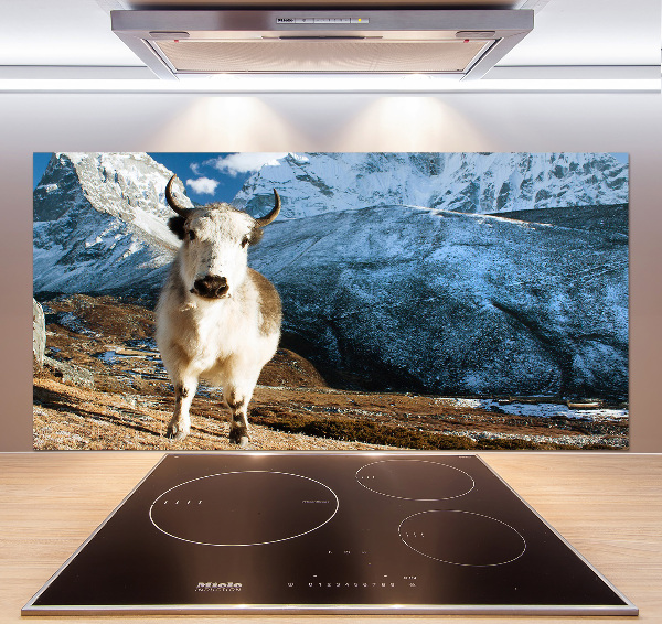 Pannello retrocucina con stampa 