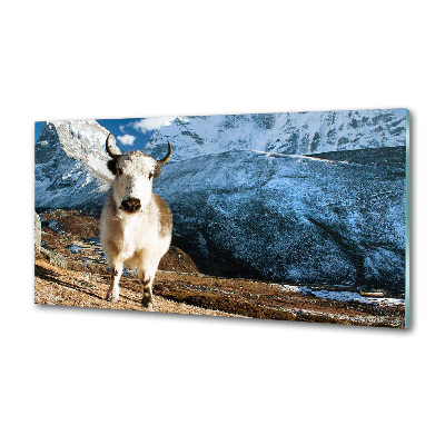 Pannello retrocucina con stampa 