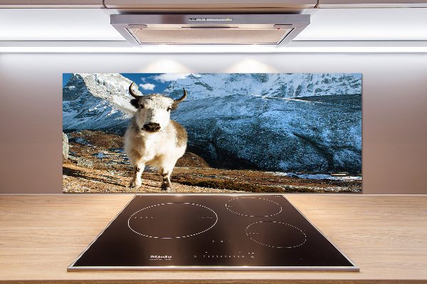 Pannello retrocucina con stampa 