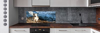 Pannello retrocucina con stampa 