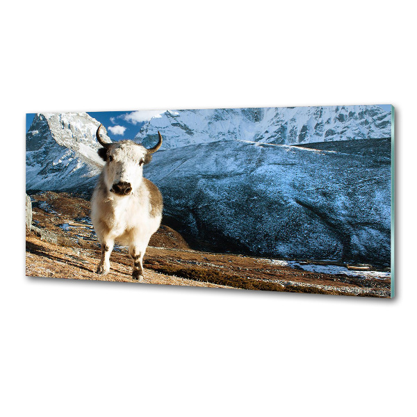 Pannello retrocucina con stampa 