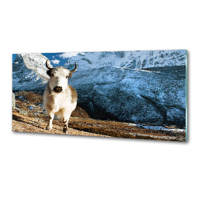 Pannello retrocucina con stampa 