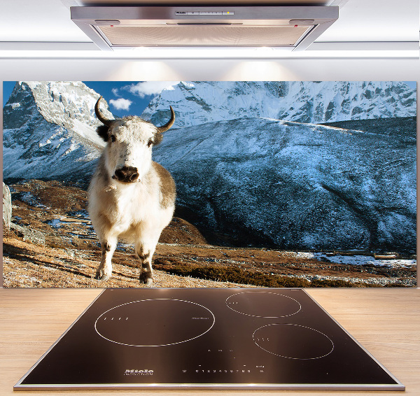 Pannello retrocucina con stampa 