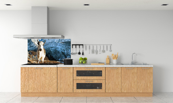 Pannello retrocucina con stampa 