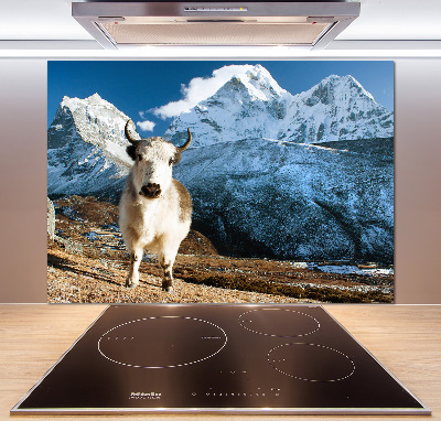 Pannello retrocucina con stampa 