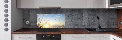 Rivestimento parete cucina con motivo a semi di tarassaco