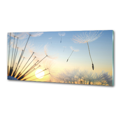 Rivestimento parete cucina con motivo a semi di tarassaco