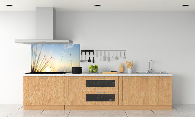 Rivestimento parete cucina con motivo a semi di tarassaco