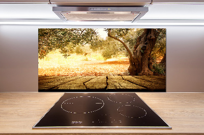 Pannello retrocucina con finitura effetto olivo